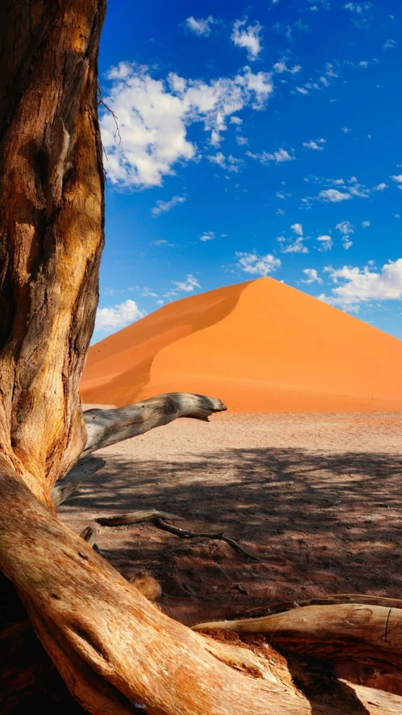 Düne 45 in der Sossusvlei in Namibia unter blauem Himmel