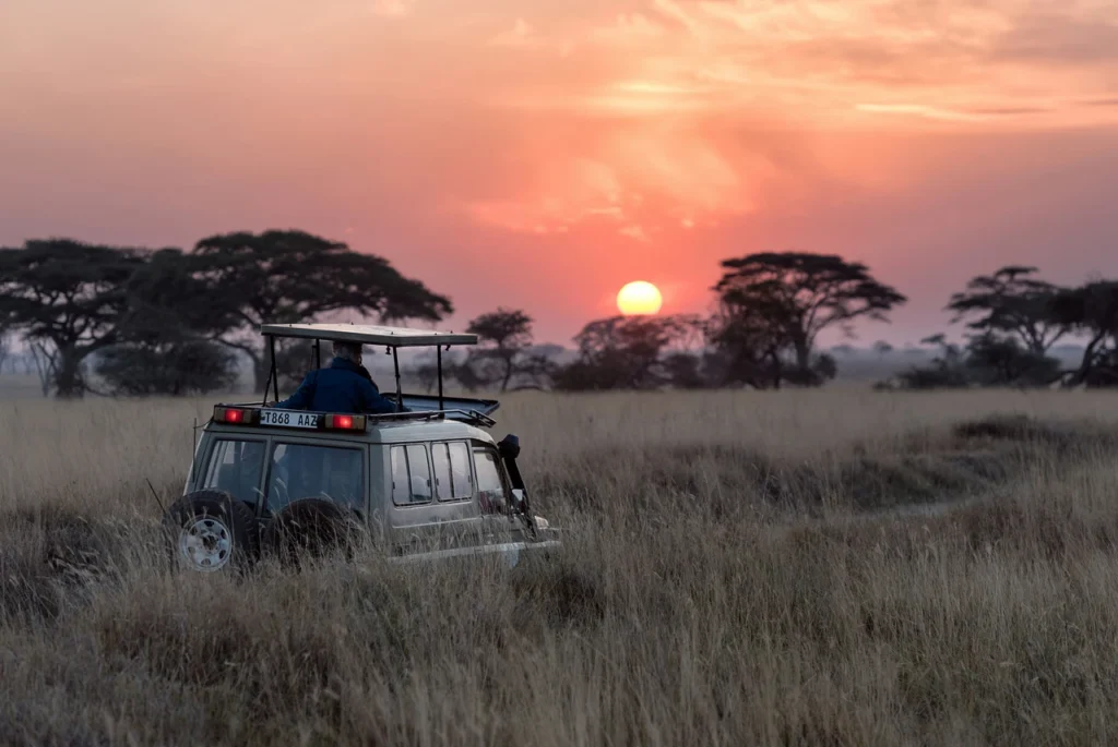Private Safari bei Sonnenuntergang im Serengeti Nationalpark- Namibia Safari vs Tansania Safari – Der große Vergleich 2025
